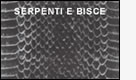 serpenti e bisce