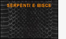 serpenti e bisce