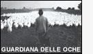 La guardiana delle oche